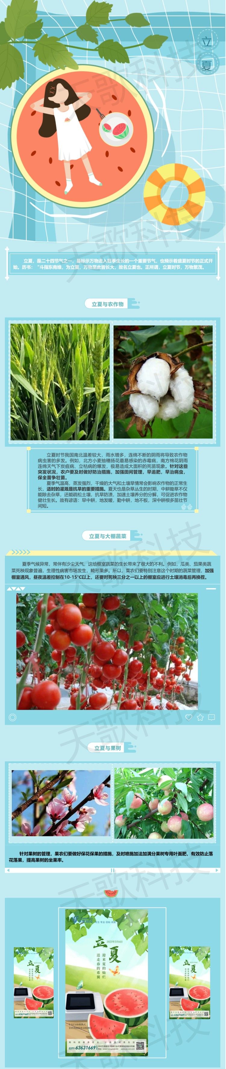 立夏_送走春的希冀，迎來夏的燦爛.jpg