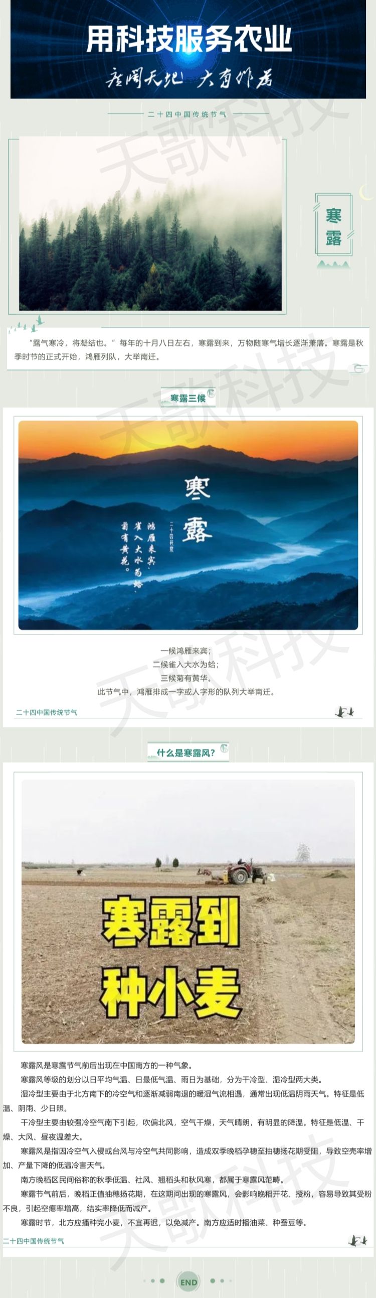 今日寒露：那什么是寒露風(fēng)？.jpg