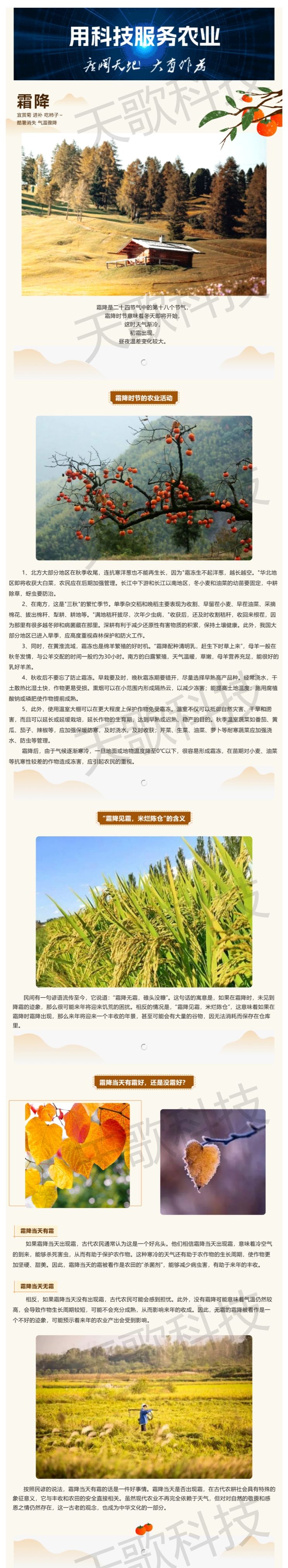 今日霜降：“霜降見(jiàn)霜，米爛陳倉(cāng)”，那到底有霜好還是無(wú)霜好？.jpg